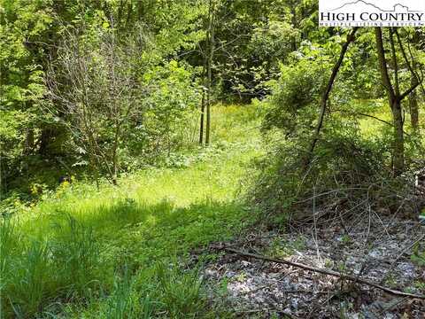 Tbd HWY-321, Sugar Grove, NC 28622