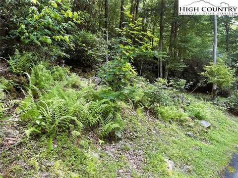 523 Pinnacle Ridge Road, Beech Mountain, NC 28604