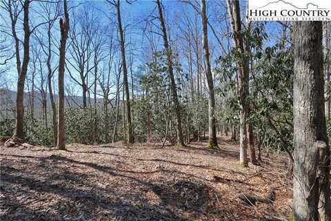 Lots 47 & 48 Abaco Drive, Vilas, NC 28692