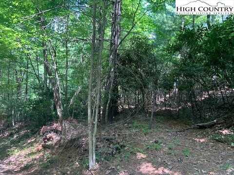 Tbd Lower Nettleknob Road, West Jefferson, NC 28694