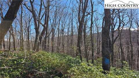Tbd D&D Ridge Road, Todd, NC 28684