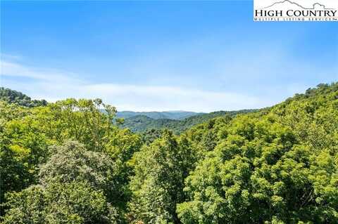 58.08 Ac. Tract Barlow Road, Banner Elk, NC 28622