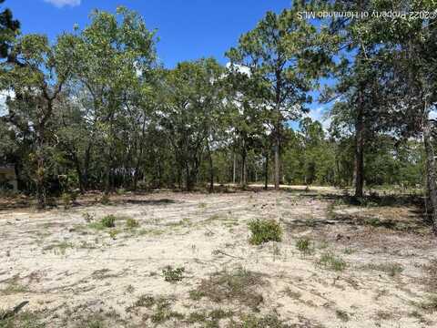 11350 Paoli Court, Weeki Wachee, FL 34614