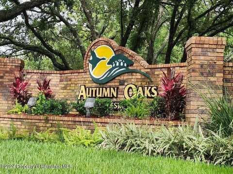 00000 Winding Oaks Boulevard, Hudson, FL 34669