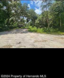 7307 sling shot Drive, Webster, FL 33597