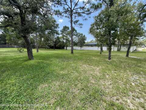 0 Flower Avenue, Weeki Wachee, FL 34613