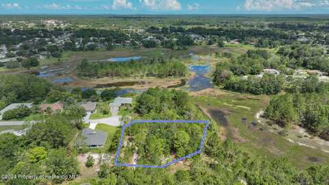 . Valley Brook Court, Spring Hill, FL 34606