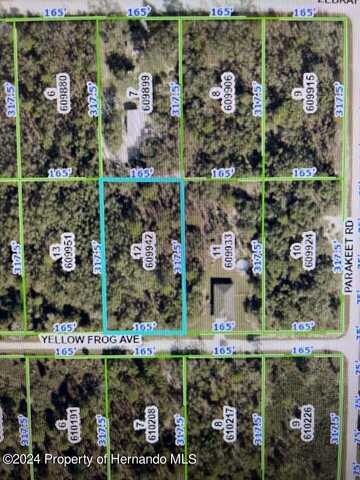 0 Yellow Frog Avenue, Brooksville, FL 34614