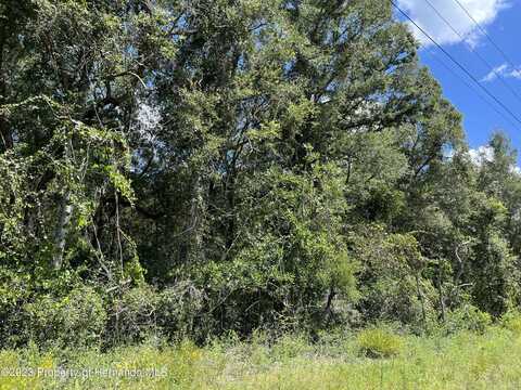 0 US 19 Highway NW, Chiefland, FL 32626