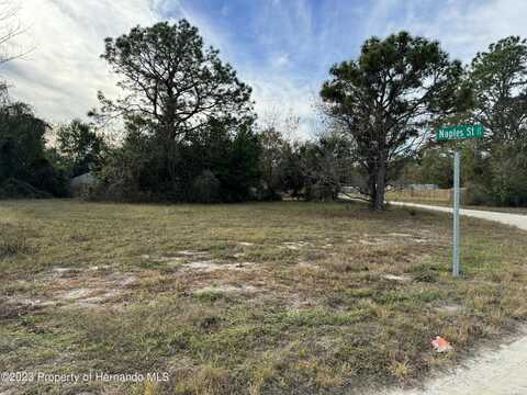 16056 Naples Street, Brooksville, FL 34601