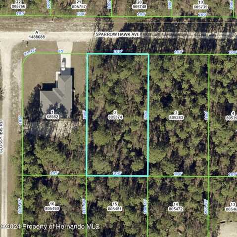 0 Sparrow Hawk Avenue, Weeki Wachee, FL 34614