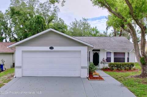 11015 austin Court, New Port Richey, FL 34654