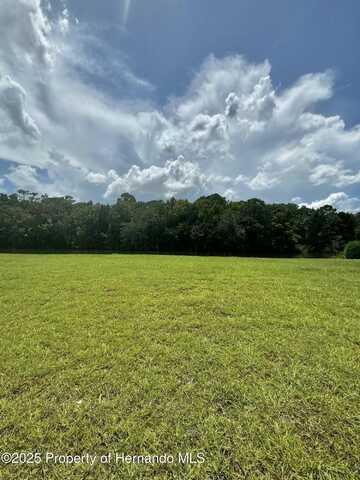 3520 Jewfish Drive, Hernando Beach, FL 34607