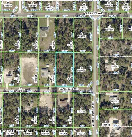 10471 Sand Lark Avenue, Weeki Wachee, FL 34614