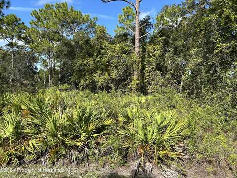 PARROT Road lot: 9, Weeki Wachee, FL 34614