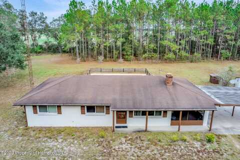 7393 CR 353 NE, Old Town, FL 32680