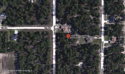 16408 Medley Road, Weeki Wachee, FL 34614