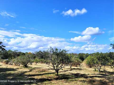 undefined, Brooksville, FL 34601