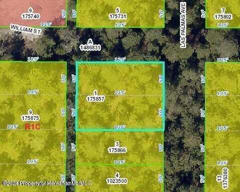 0 Las Palmas Avenue, Spring Hill, FL 34606