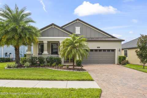 19504 Lily Pond Court, Brooksville, FL 34601