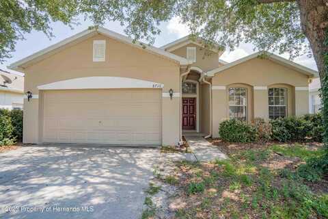 8710 Southern Charm, Brooksville, FL 34613