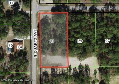 1936 W Tacoma Street, Hernando, FL 34442