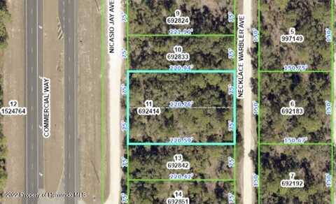 17160 Nicasio Jay Avenue, Weeki Wachee, FL 34614