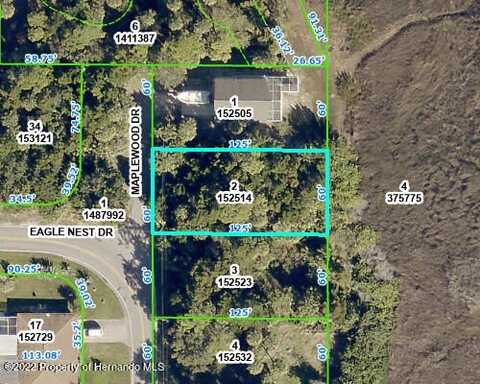 00 Maplewood Drive, Hernando Beach, FL 34607