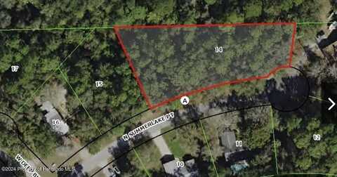 5980 N Summerlake Point, Crystal River, FL 34428