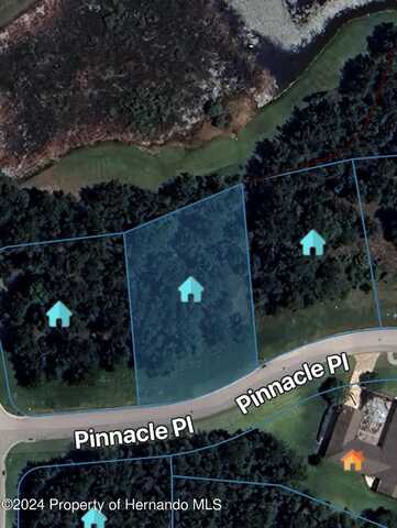 0 Pinnacle Place, Brooksville, FL 34601