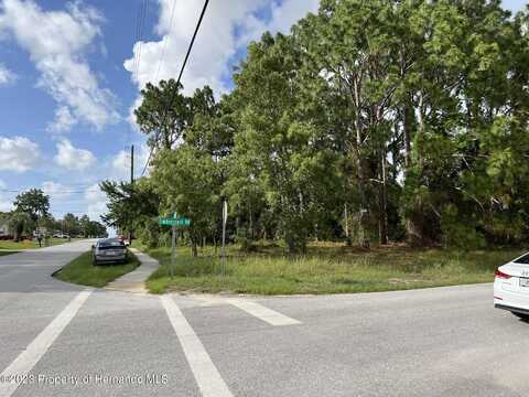 4348 Lamson Avenue, Spring Hill, FL 34608