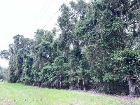 0 45th Terrace NW, Chiefland, FL 32626