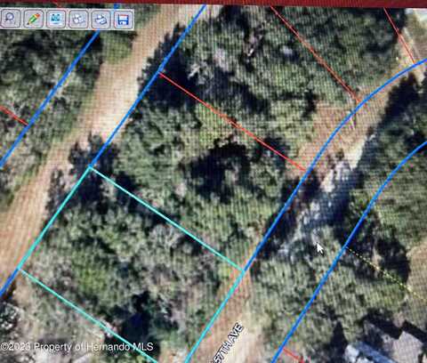 NE 157 Avenue, Williston, FL 32696