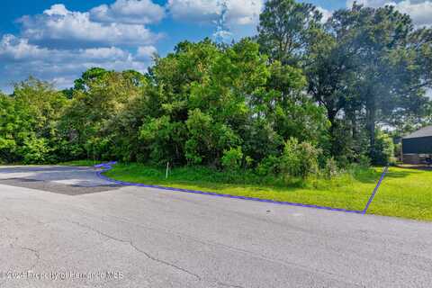 . Lakeview Court, Spring Hill, FL 34608