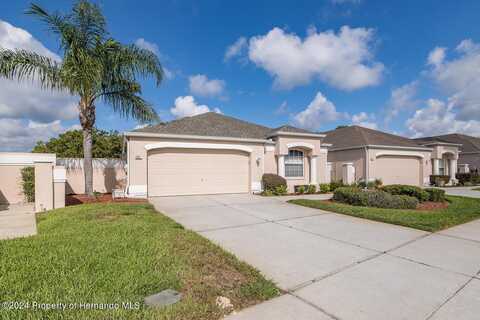 243 Royal Palm Way, Spring Hill, FL 34608