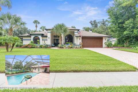 14033 Beechtree Court, Hudson, FL 34667