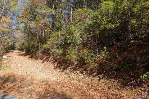 0 Lick Log Rd, Scaly Mountain, NC 28775