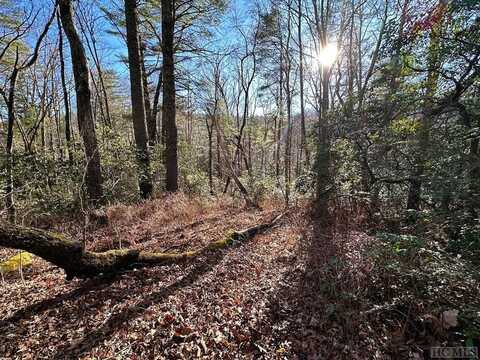 Lot 37 Alder Court, Sapphire, NC 28774