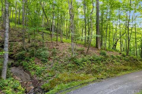 12c Von Trapp, Tuckasegee, NC 28783