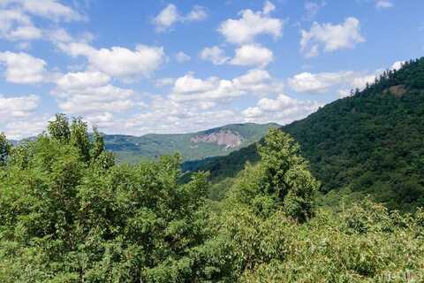 TR2 Sassafras Ridge, Sapphire, NC 28774