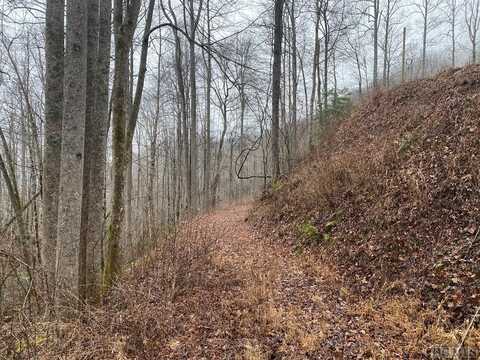 Tr 17b Forest Ridge Road, Whittier, NC 28789
