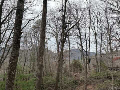 Lot 35 Buckberry Drive North, Sapphire, NC 28774