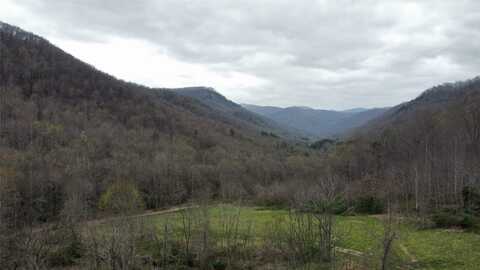 1005 Trout Creek Road, Tuckasegee, NC 28783