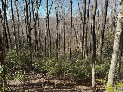 Lot 122 Black Oak Drive, Sapphire, NC 28774