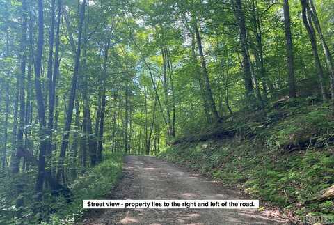 Lot 3 Black Gap Road, Franklin, NC 28734