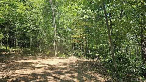 0 Eastside Duck Mountain Road, Scaly Mountain, NC 28775