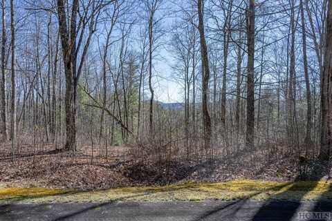 Lot 47 Compass Rose Way, Cullowhee, NC 28723