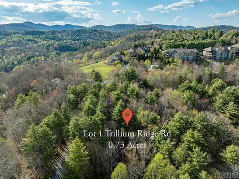 Lot 1 Center Ridge Road, Cullowhee, NC 28723