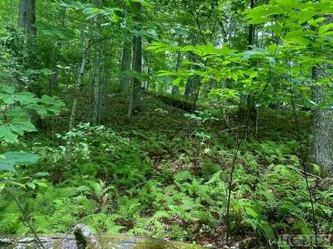 Lot 25 Rainbow Trout, Tuckasegee, NC 28783