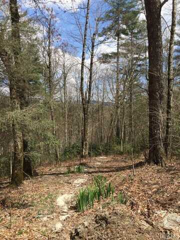 Lot 42 Tarragon Drive, Cashiers, NC 28717